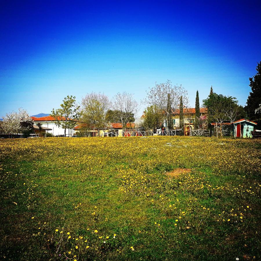 Cascina Corteprimavera, B&B Del Baliot Passirano Kültér fotó