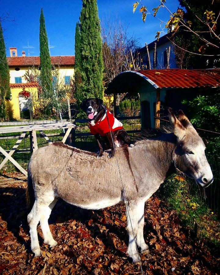 Cascina Corteprimavera, B&B Del Baliot Passirano Kültér fotó